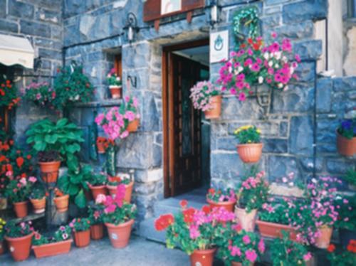 Oto Casa Herrero الغرفة الصورة